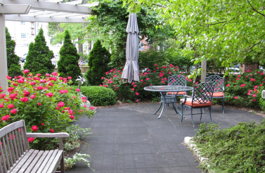 summer garden ideas